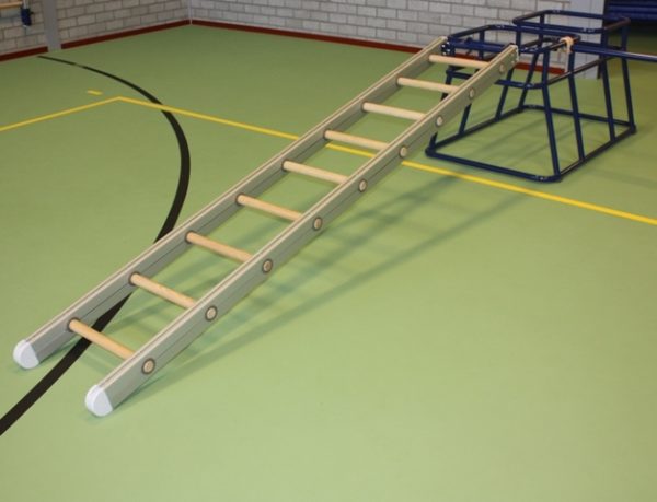 Kleutermateriaal ladder met haken