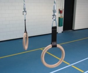 Turnring